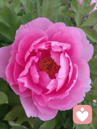 旧岁风波尽，今朝暖意生。
幸得故人归，共赴山海程。
愿往后余生，执手相伴，岁岁长安。
归位，安心，长久。。。