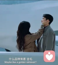 骄傲与卑微配图