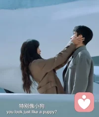 骄傲与卑微配图