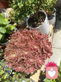 早安🌞
新的一天，把烦恼清零，把好心情装满～
愿日子温柔，万事顺意，晨起皆有小美好💐