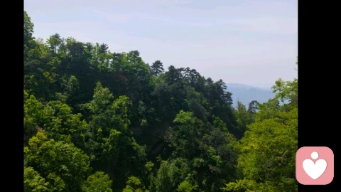 潜意识：以道驭术，方得心灵本真