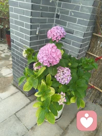 万般皆是心意起落
得失皆为人间寻常配图