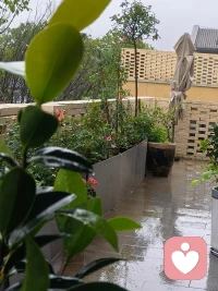 听风听雨听己心，问花问酒问平生！配图