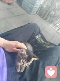 青葱岁月喜欢一个人，那份懵懂的傻傻的真心叫天真。在看懂人性什么都明白时候喜欢一个人，这个坚定的选择的真心叫修行。