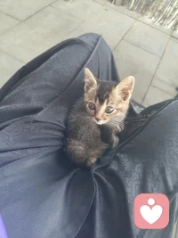 青葱岁月喜欢一个人，那份懵懂的傻傻的真心叫天真。在看懂人性什么都明白时候喜欢一个人，这个坚定的选择的真心叫修行。
