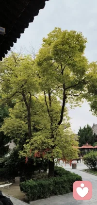 每日陪伴他人倾诉，也完成一场自我觉察。
我明白这份情绪，来自观念的相悖，也来自无力改变现状的沮丧。长久承接他人的情绪内耗，本就是一件耗神的事。包容他人的不同，也坦然正视自己的感受。善意要有尺度，情绪要有边界，这也是爱自己的一种方式。配图