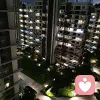 人到中年，居家办公，孤独且自由。

加了个小班，泡了杯茶，窗外很安静。
前几年一直在考证，从初级到中级，把下班后的时间填得满满当当。
那时候累，但充实。一直循规蹈矩的生活。

去年突然想通一件事：不想再为了“有用”去拼命学，想为了“有意思”去试试看。
向内求。
于是我做了一件跟数字完全无关的事：系统学习了心理咨询。
不为转行，不为赚钱，只为寻找那个有点丢失的、真实的自己。
就想弄明白一件事：为什么账可以平，心却总是乱？配图