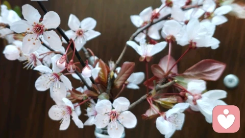 焦虑时，该如何舒缓