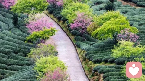 你是否中了他（她）的套？