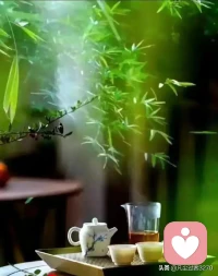 生活没有如果，只有后果和结果。别总说“早知道”，当下的每一个选择，都是彼时你能做出的最好决定。配图