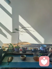 尽量少为已经发生的事情后悔，永远抬头、挺胸向前看。
人生有三把钥匙，接受，改变和离开，不能接受的就改变，改变不了的就离开，要相信，一起都是最好的安排。
相信相信的力量！加油💪💪
​配图