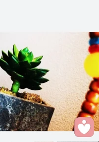 我们总说“信因果”，却常在急功近利时忘了：种下的每颗善因，都在时光里默默扎根；掠过的每丝轻慢，也会在不经意间显影。因果从不是遥远的玄学，而是当下起心动念的回响，是言行举止的必然归处。配图