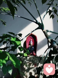 省事省心的人生哲学：

当选中一个人做一件事后，鼓励+相信就行了。
100%相信，100%交出自己，不要有迟疑。
即使看错人，被辜负，就大方承认自己判断力不够，认栽+以后多见见人就行了。

最消耗的为人处事方式：
选让自己迟疑的人，并且在选中了以后疑神疑鬼，无法交心，不断试探……

若信就深信，  若爱就深爱。配图