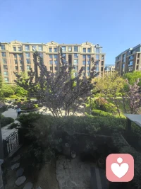 又是一年樱花季，门前樱花再度开；

绣球花也开，茶滩摆起来……

花疗、茶疗一起来，心里乐开怀。配图