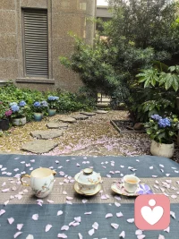 不要让任何人消耗你的能量，不要强迫他人醒来，每个人都有自己的劫要渡……
若有缘问者可度，无缘静待花开，念别人的好，修自己的心，​不给别人添麻烦是一种慈悲，​不给自己添麻烦是一种智慧。
​配图