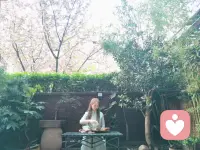 樱花树下～
院里院外～
品茶抚琴～
悠哉乐哉～配图
