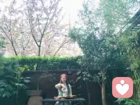 樱花树下～
院里院外～
品茶抚琴～
悠哉乐哉～配图