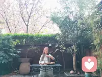 樱花树下～
院里院外～
品茶抚琴～
悠哉乐哉～配图