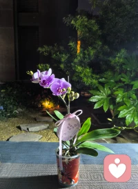 祝愿姐妹们母亲节快乐！

又是被爱包围的一天！
谢谢漂亮的嫂子和亲爱的孩子们！
爱你们哦！配图