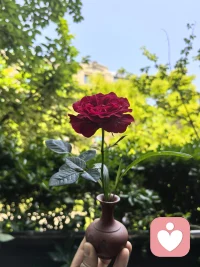 祝愿姐妹们母亲节快乐！

又是被爱包围的一天！
谢谢漂亮的嫂子和亲爱的孩子们！
爱你们哦！配图