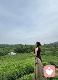 上春山！


河南信阳茶山～枕溪秘境！配图