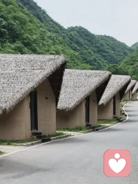 上春山！


河南信阳茶山～枕溪秘境！配图