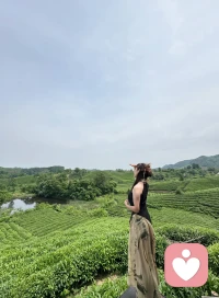 山不见我，我自见山！


河南信阳～见山咖啡！配图