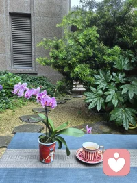 听雨：细品浓香咖啡，别有一番滋味！

心理学中有一个概念叫做“心理边界”。
边界就是自己管好自己的事情，少去干涉别人的事情，我们可以适当共情别人，但是要从原则上分清楚“别人”的和“自己〞的，不能模糊彼此的边界，将对方和自己的感受粘连在一起。配图
