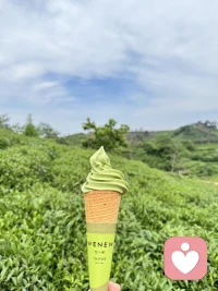 等你把格局打开，你就会发现很多事情根本不配影响你的情绪，格局越大、层次越高、才不会深陷于生活中的鸡毛蒜皮。
何必计较呢？
在乌鸦的世界，天鹅也是有罪的。
思想不在一个高度，尊重就好；三观不在一个层次，发自己的光就好。配图