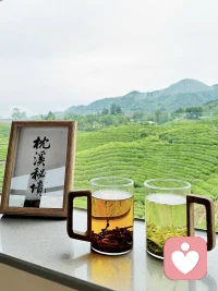 等你把格局打开，你就会发现很多事情根本不配影响你的情绪，格局越大、层次越高、才不会深陷于生活中的鸡毛蒜皮。
何必计较呢？
在乌鸦的世界，天鹅也是有罪的。
思想不在一个高度，尊重就好；三观不在一个层次，发自己的光就好。配图
