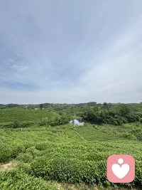 等你把格局打开，你就会发现很多事情根本不配影响你的情绪，格局越大、层次越高、才不会深陷于生活中的鸡毛蒜皮。
何必计较呢？
在乌鸦的世界，天鹅也是有罪的。
思想不在一个高度，尊重就好；三观不在一个层次，发自己的光就好。配图