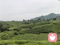 等你把格局打开，你就会发现很多事情根本不配影响你的情绪，格局越大、层次越高、才不会深陷于生活中的鸡毛蒜皮。
何必计较呢？
在乌鸦的世界，天鹅也是有罪的。
思想不在一个高度，尊重就好；三观不在一个层次，发自己的光就好。配图