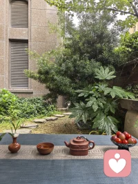 ​雨后的清晨，万物都被洗得干干净净。树叶挂着雨滴，呼吸中都带着泥土和青草的味道。

每天我们都在不断地认识自己，觉知自己，调整自己，把自己修好了, 能量自然而然就高了。

又是能量满满的一天！加油💪💪配图
