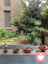​雨后的清晨，万物都被洗得干干净净。树叶挂着雨滴，呼吸中都带着泥土和青草的味道。

每天我们都在不断地认识自己，觉知自己，调整自己，把自己修好了, 能量自然而然就高了。

又是能量满满的一天！加油💪💪配图