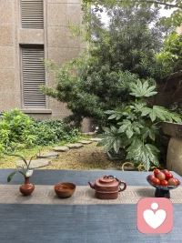 ​雨后的清晨，万物都被洗得干干净净。树叶挂着雨滴，呼吸中都带着泥土和青草的味道。

每天我们都在不断地认识自己，觉知自己，调整自己，把自己修好了, 能量自然而然就高了。

又是能量满满的一天！加油💪💪配图