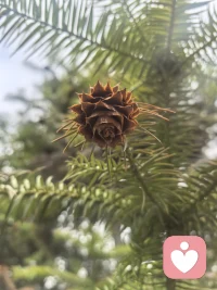 初入平台，学习阶段配图