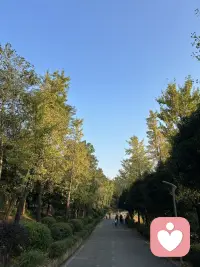 精神世界丰盈的人，你和她炫耀什么都没用。她的世界是山川河流、星河灿烂。她不会因为你有钱而复合，更不会因为你贫穷而远离。在她的世界里，滋养着生命的是三观、人品，是思想、灵魂，是花团锦簇。她的身边都是人品端正的人。能让她停留的那个人一定是给予她极致的爱，你唯一能向她展示的只有真诚和善良。