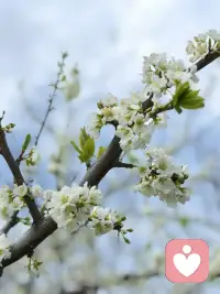 很多时候，不是不想说
而是怕不被理解、怕被评判、怕说了也没用
 
在这里，你可以放下所有伪装
说出那些深夜的辗转
人前的坚强与心底的委屈
你的心声值得被看见、被听见、被温柔以待。
在这里，只做你安全的情绪容器，
倾听你内心的声音
愿我们彼此靠近，在共鸣里找到治愈的力量✨