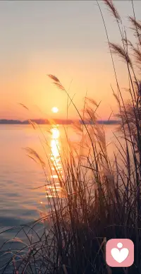 静以修身，俭以养德。配图