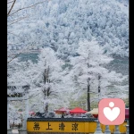 世间走一遭的头像