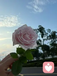 当你深爱一个没有钱的男人从恋爱，到结婚，到有了孩子，有了房子车子，都有的时候，发现这个男人背叛了你，你会怎么办？配图