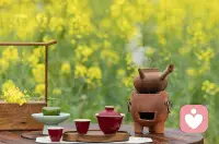 ❤️不用急着坚强，我愿意听你所有情绪。配图