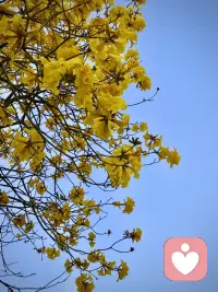 很多时候，我们不是不够坚强，只是太久没被好好安慰过。
允许自己脆弱，允许情绪流动，不必硬撑，不必假装没事。
你已经很努力了，真的。…配图