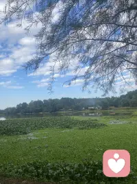 人生本就是一场不断遇见、不断告别的旅程，
愿你在往后的日子里，
看淡得失，珍惜拥有，不负时光，不负自己。配图