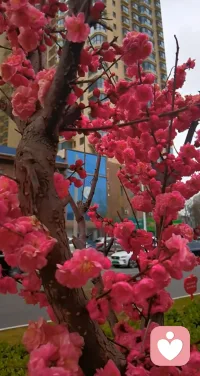 生活能渡的
是愿意自渡的人

每个熠熠生辉的微笑背后
都有默默努力的身影~配图