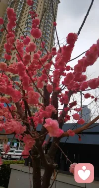 生活能渡的
是愿意自渡的人

每个熠熠生辉的微笑背后
都有默默努力的身影~配图