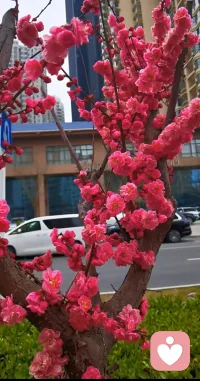 生活能渡的
是愿意自渡的人

每个熠熠生辉的微笑背后
都有默默努力的身影~配图