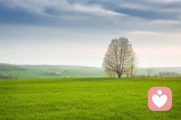 女生总是认为自己所选的那个男人是这个世界上最特殊，独一无二的，可是现实会猝不及防的提醒她，他就是一个很普通的男人，也会犯所有男人都会犯的错