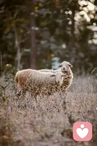 你信不信，人生真的是“选择大于努力”，一个正确的选择能让你少走许多弯路，而一个错误的选可能会让你直接走进绝路，所以，在人生的每个重要决策面前，一定要慎重，不能冲动，特别是婚姻！配图
