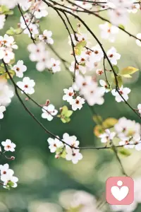 🌿很多来访者都会问我：“这世上到底有没有真爱？”
 
说实话，有，但真的很短暂。
它可能是某个深夜的一句安慰，可能是一段热烈到发烫的陪伴，却很少能扛过漫长岁月里的柴米油盐、琐碎争执。
 
别把所有希望都押在别人身上，也别指望谁能永远对你热情不减。
人心会变，感情会淡，期待越高，失望往往越重。
 
与其攥着一份留不住的爱反复内耗，不如安安稳稳，好好爱自己。
吃一顿热饭，睡一个好觉，把情绪和生活都握在自己手里。
靠自己，才最踏实，也最长久。配图